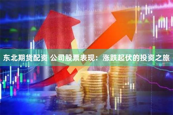 东北期货配资 公司股票表现：涨跌起伏的投资之旅