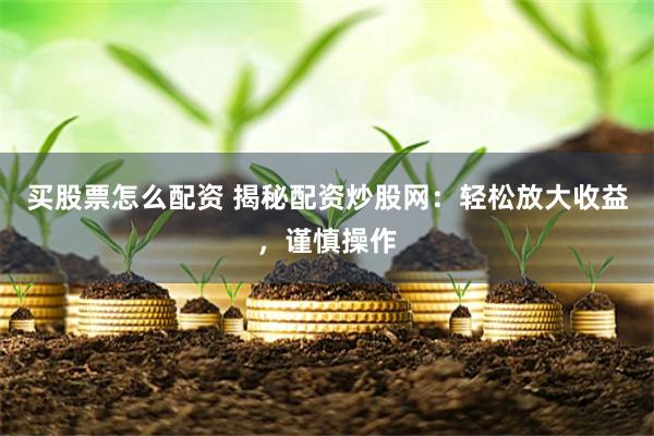 买股票怎么配资 揭秘配资炒股网：轻松放大收益，谨慎操作