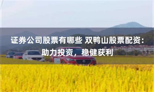 证券公司股票有哪些 双鸭山股票配资：助力投资，稳健获利