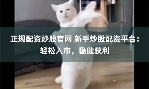 正规配资炒股官网 新手炒股配资平台：轻松入市，稳健获利