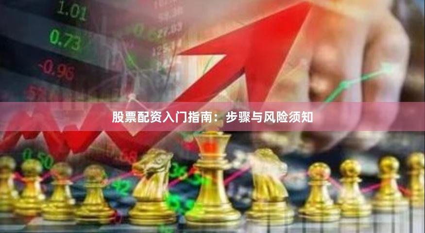 股票配资入门指南：步骤与风险须知