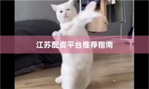 江苏配资平台推荐指南