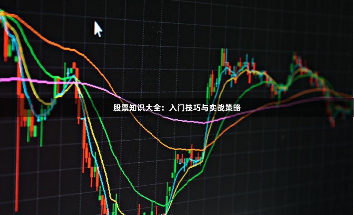 股票知识大全:入门技巧与实战策略